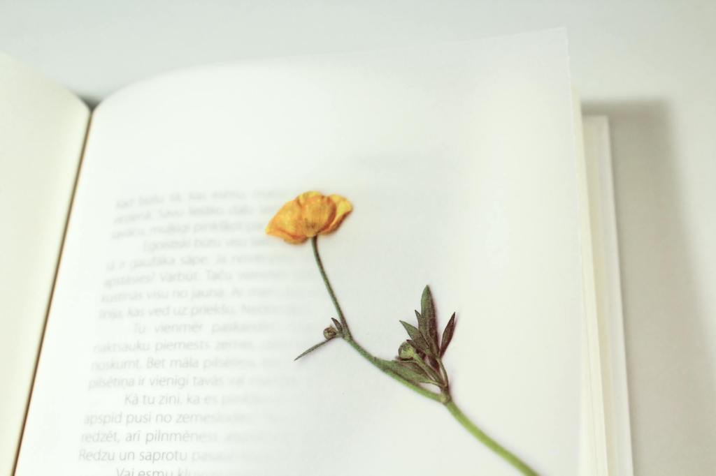 Haiku poem: eternal&nbsp;bloom